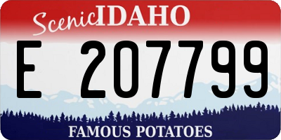 ID license plate E207799
