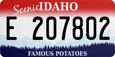 ID license plate E207802