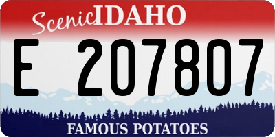 ID license plate E207807