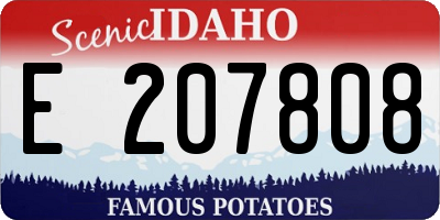 ID license plate E207808