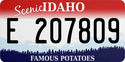 ID license plate E207809