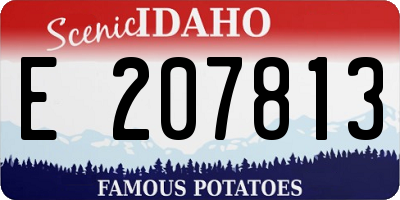 ID license plate E207813