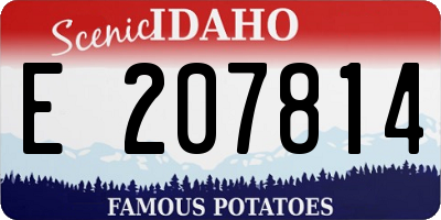 ID license plate E207814