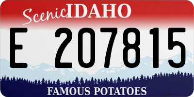 ID license plate E207815