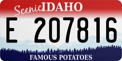 ID license plate E207816