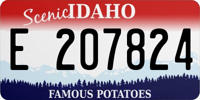 ID license plate E207824