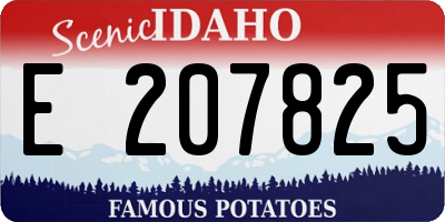 ID license plate E207825