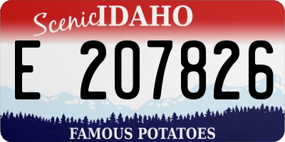 ID license plate E207826