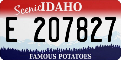 ID license plate E207827