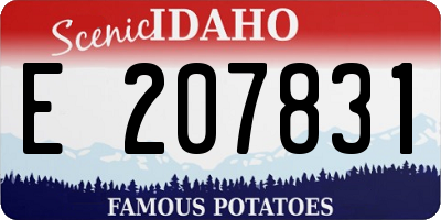 ID license plate E207831