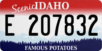 ID license plate E207832