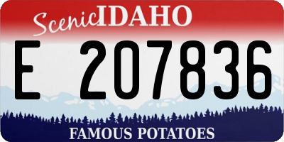 ID license plate E207836