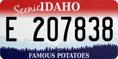 ID license plate E207838