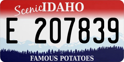 ID license plate E207839