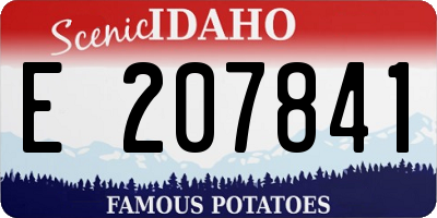 ID license plate E207841