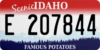 ID license plate E207844
