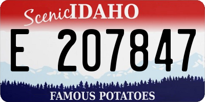 ID license plate E207847