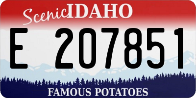 ID license plate E207851