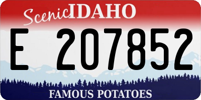 ID license plate E207852