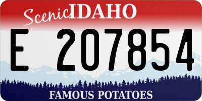 ID license plate E207854
