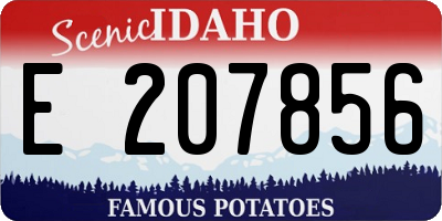 ID license plate E207856