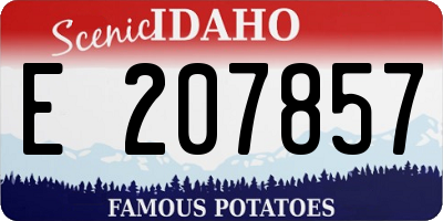 ID license plate E207857