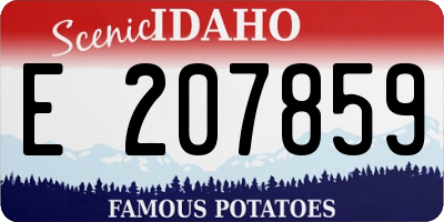 ID license plate E207859