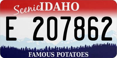 ID license plate E207862