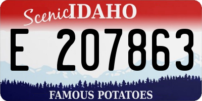 ID license plate E207863