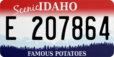 ID license plate E207864