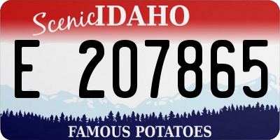 ID license plate E207865