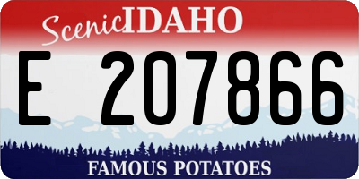 ID license plate E207866