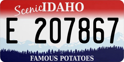 ID license plate E207867