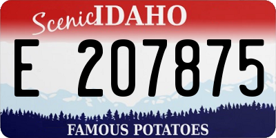 ID license plate E207875