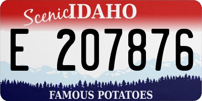 ID license plate E207876