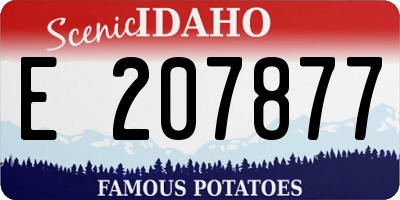 ID license plate E207877