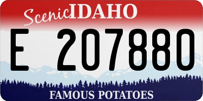 ID license plate E207880