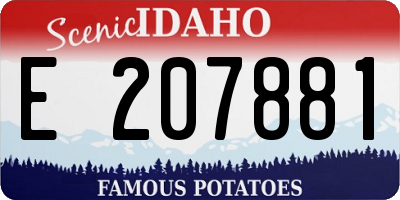 ID license plate E207881