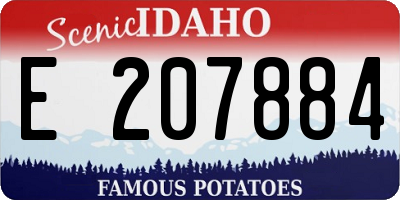 ID license plate E207884