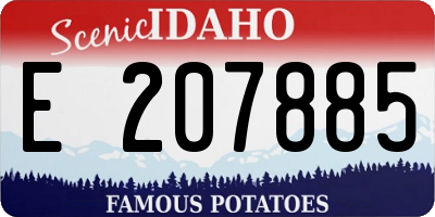 ID license plate E207885
