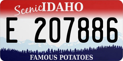 ID license plate E207886