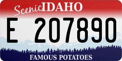 ID license plate E207890