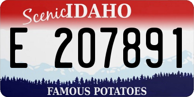 ID license plate E207891