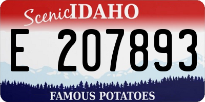 ID license plate E207893