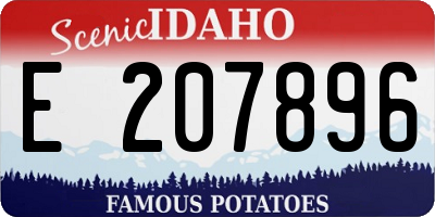 ID license plate E207896
