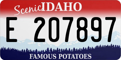 ID license plate E207897