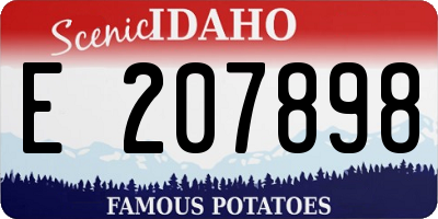 ID license plate E207898