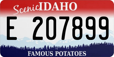 ID license plate E207899