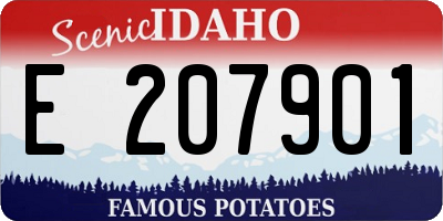 ID license plate E207901