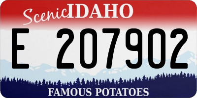 ID license plate E207902